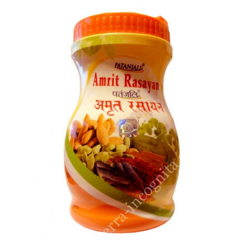 Amrit Rasayana Patanjali 500 gm