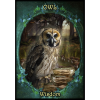 Оракул " Фамильяри відьом" - Witches' Familiars Oracle Cards