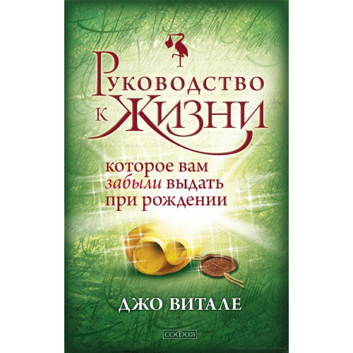 Руководство к жизни, которое вам забыли дать при рождении. Витале Дж.