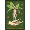 Карти Оракул Гербарія - Herbarium Oracle Cards. Lo Scarabeo