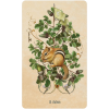 Unlocking The Secret Garden Oracle Cards - Оракул "Відкриваючи Таємний Сад"