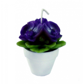 Свічка в керамічному горщику "Орхідея"  фіолетова  ZEN GARDEN